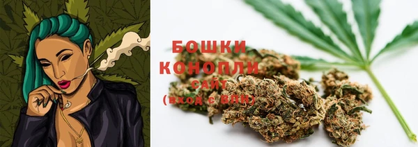 мдпв Надым